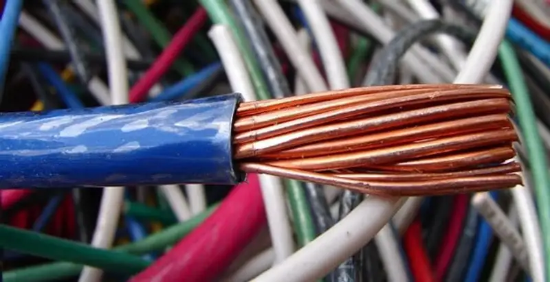 electrical wiring services showing exposed copper conductors and cable preparation in Orlando, FL