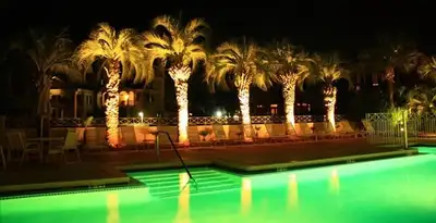 landscape lighting installation services illuminating outdoor recreational areas in Orlando, FL
